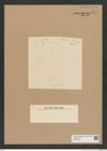 Diatomeae indet. Zeichnungen Sammlung Grunow Nr. 7991 (NHMW-BOT-W0377285)